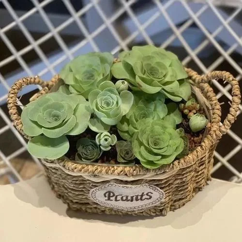 Micmacs A La Gare-MappleZS