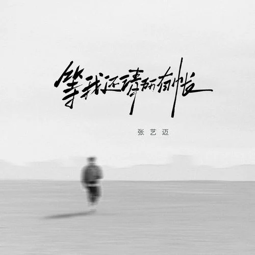 等我還清所有賬-張藝邁