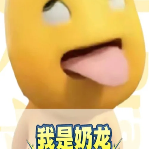 我是奶龍 (今夜星光閃閃)-DJ小涵