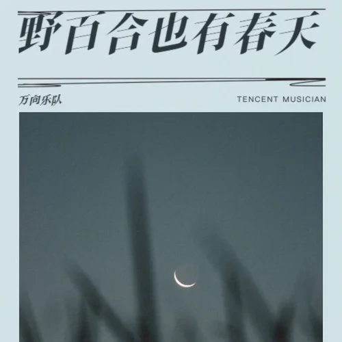 野百合也有春天 (純享版)-萬(wàn)向樂(lè)隊(duì)