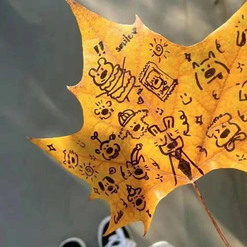 樂觀的悲觀主義-赫本的貓