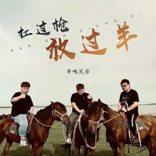 扛過(guò)槍 放過(guò)羊(DJ偉然版)-半噸兄弟