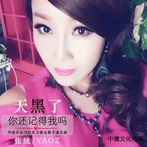 天黑了你還記得我嗎-張書姚