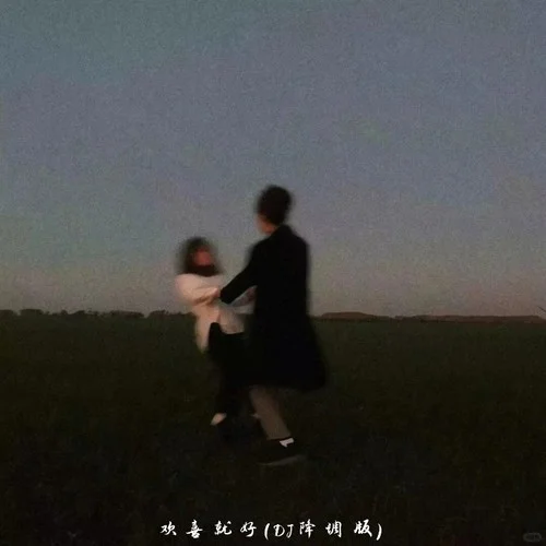 歡喜就好 (DJ降調(diào))-DJ.SmartD