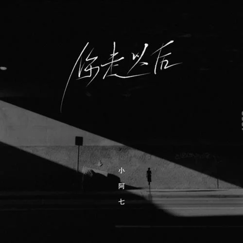 你走以后-小阿七