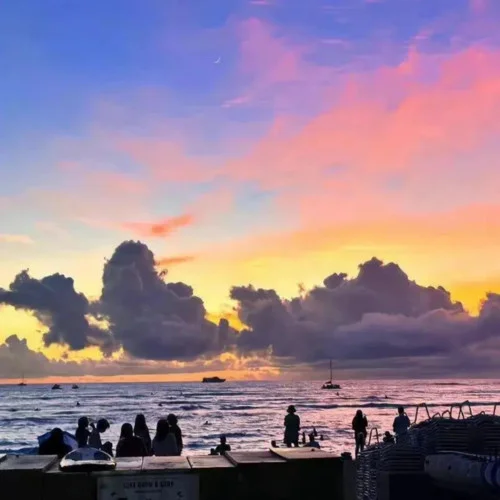 Bloody Mary (一線城市進行曲)-Grimmmz