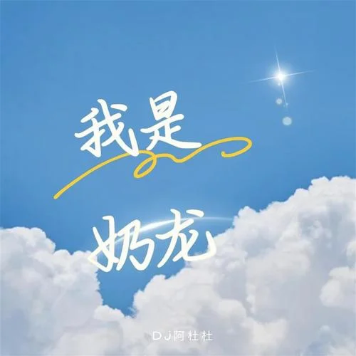 我是奶龍(今夜星光閃閃)-DJ阿杜杜
