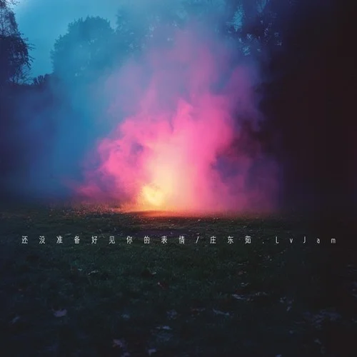 還沒(méi)準(zhǔn)備好見(jiàn)你的表情 0.9X-莊東茹&LvJam