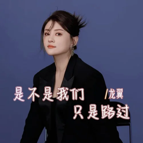 是不是我們只是路過-龍翼