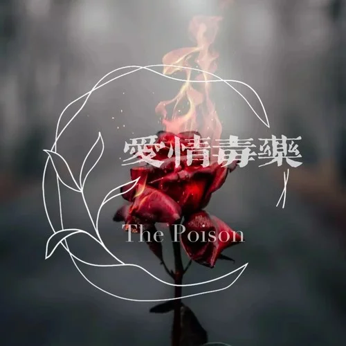 愛情毒藥DJ版-小梁的