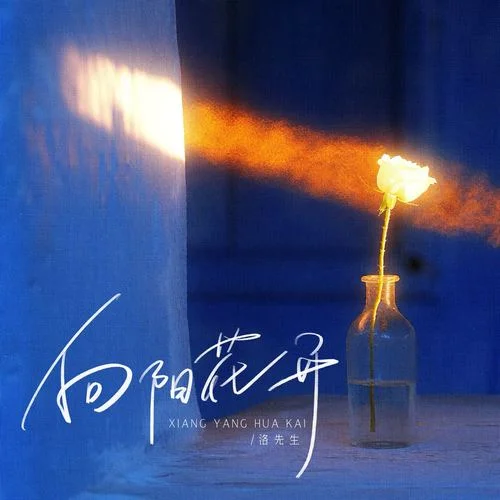 向陽(yáng)花開-洛先生