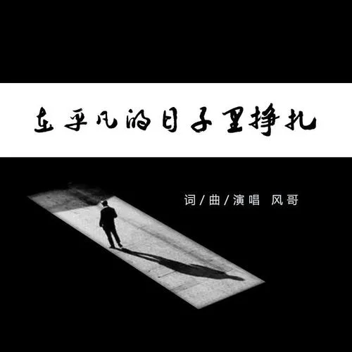 在平凡的日子里掙扎-風(fēng)哥