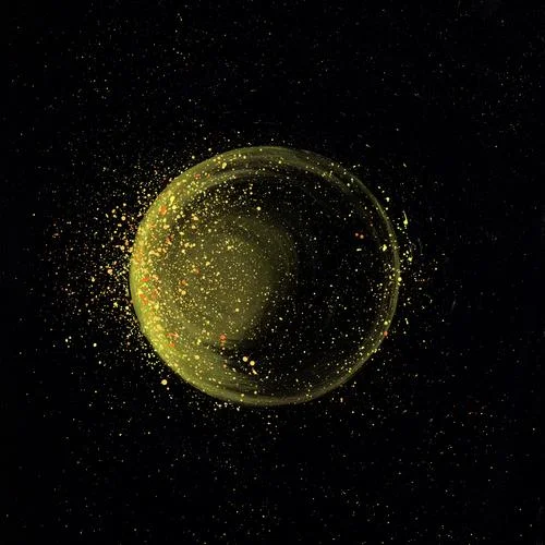 陈逸伦的解放西-柳爽