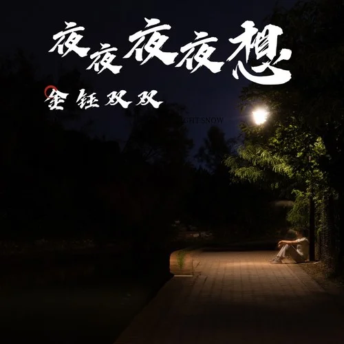 夜夜夜夜想（DJ默涵版）-金鈺雙雙