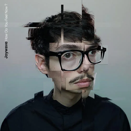 Tongues-Joywave&Kopps