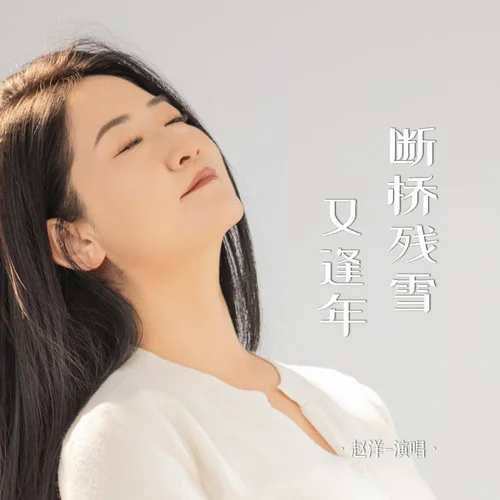 斷橋殘雪又逢年-趙洋