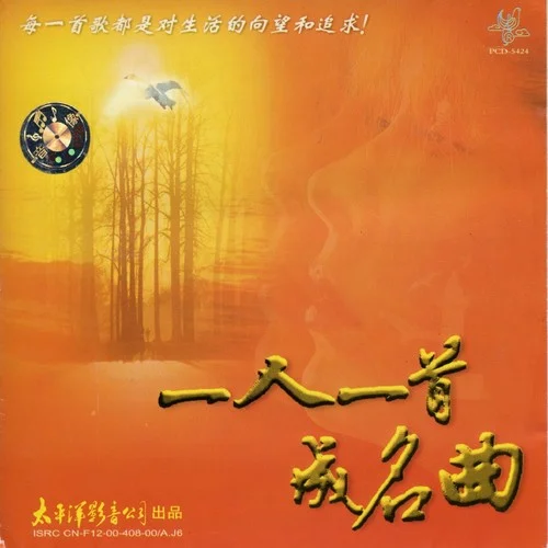 永远是朋友-毛阿敏