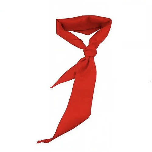 共產(chǎn)主義接班人 (其他)-彭濛