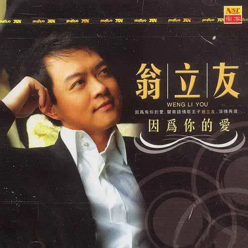 癡情有啥意義-翁立友