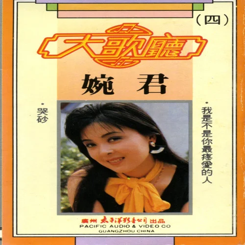 你怎么舍得讓我難過-毛寧