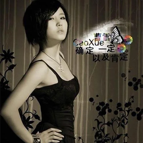 確定一定以及肯定-曹雪