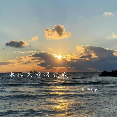 我從前相信(抖音原版)-氣質(zhì)隆Sir