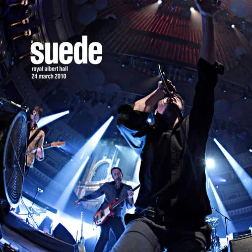 Saturday Night-Suede