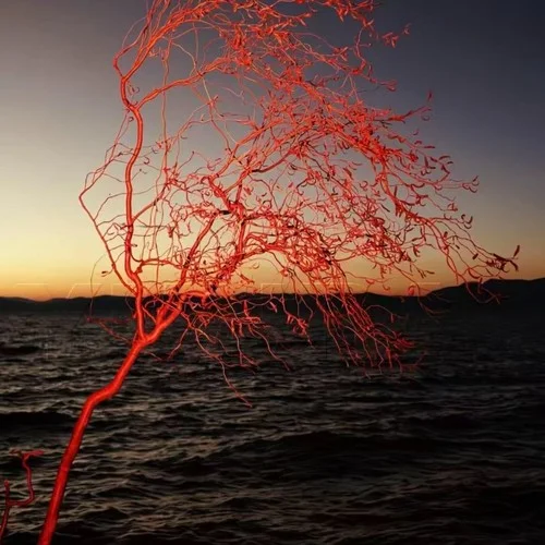 阴天 (间奏节奏版)-DreamSky