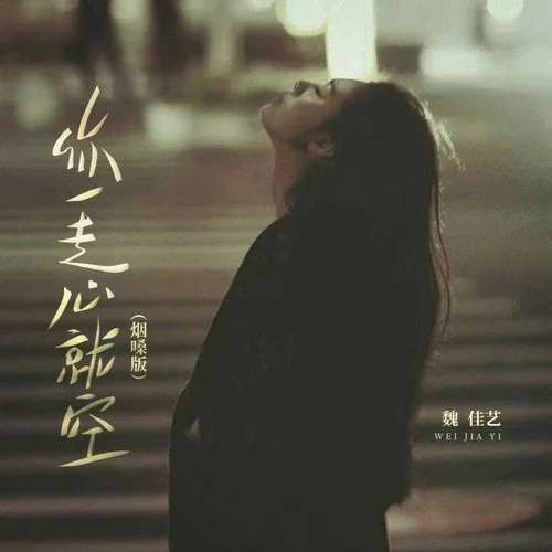你一走心就空 (DJ默涵版)-魏佳藝