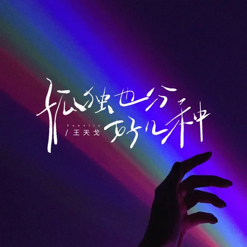 孤獨(dú)也分好幾種-王天戈