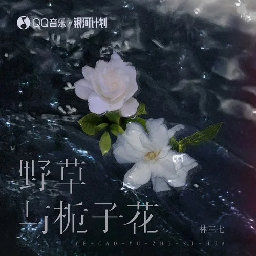 野草與梔子花(架子鼓版)-林三七