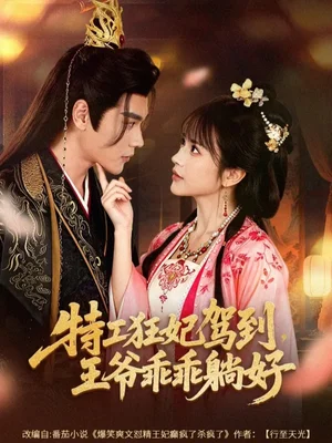 特工狂妃駕到，王爺乖乖躺好（60集）趙垣又＆文晴 - 短劇資源下載