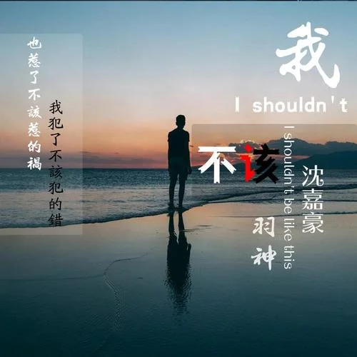 我不該-羽神&沈嘉豪