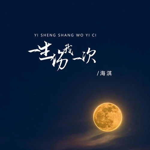 一生傷我一次-海淇