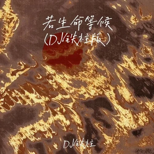 若生命等候(DJ鐵拄版)-DJ鐵拄