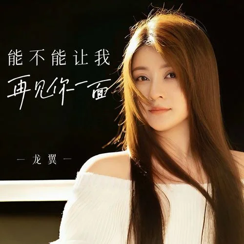 能不能讓我再見你一面-龍翼