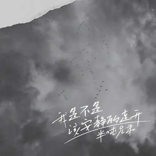 我是不是該安靜的走開 (DJ九零版)-半噸兄弟