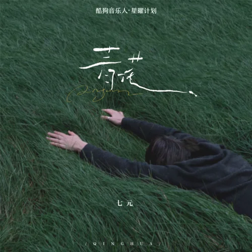 青花 (恍恍惚惚 已經(jīng)隔世)-七元