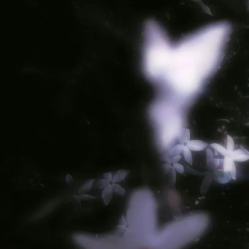 我們好不容易我們身不由己-Shake999