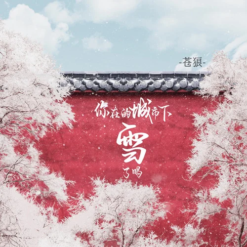 你在的城市下雪了嗎 (DJ版)-蒼狼