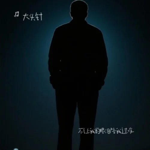 不让我的眼泪陪我过夜-大头针