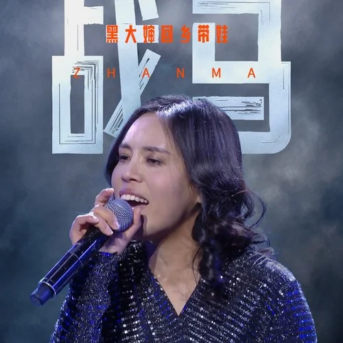 戰(zhàn)馬(DJ默涵版)-黑大嬸回鄉(xiāng)帶娃