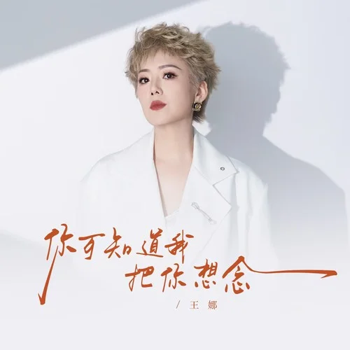 你可知道我還把你想念-王娜