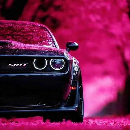 Patratatan (波波球搖DJ版)-Jonice