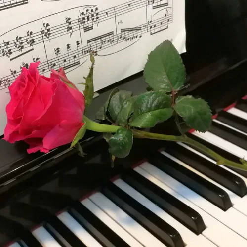 彩云追月(鋼琴版)-Wyatt Anderson&中國民樂