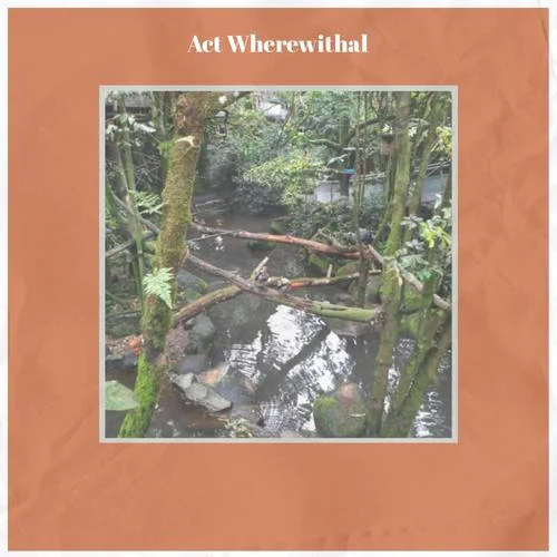 Turn All-Cessie Minin