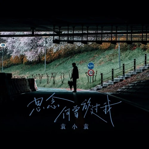 思念何曾放過(guò)我-袁小袁