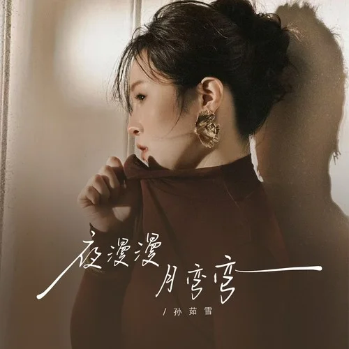 夜漫漫月彎彎 (DJ默涵版)-孫茹雪