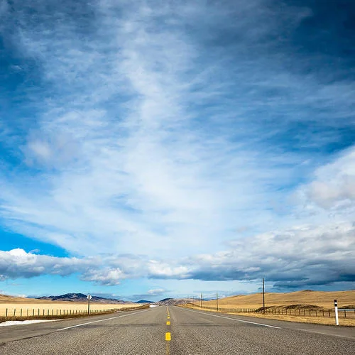 花，太陽(yáng)，彩虹，你-茄子