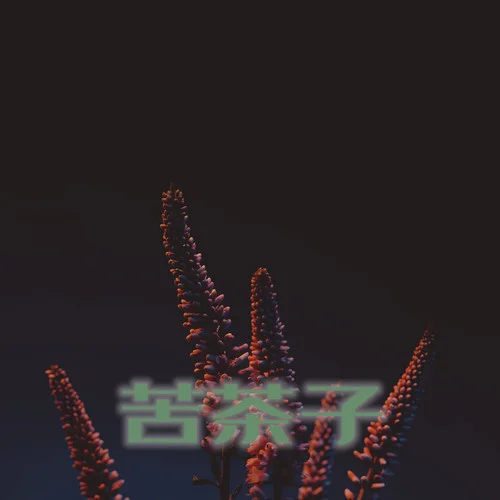 苦茶子-Ice Capper